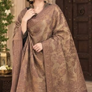 Luxury Beige Embroidered Kashmiri Shawl Suit Set – Premium Winter Ethnic Wear